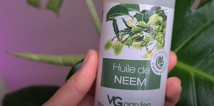 neem oil for Monstera deliciosa plant